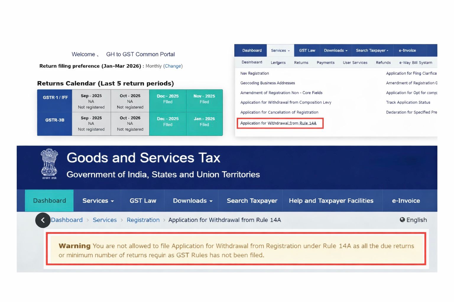 GST Portal Issue Evidence